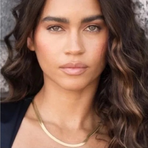 Jennifer Zeuner Karli 14K Gold Hamilton Yellow Gold Herringbone Necklace NEW - Picture 3 of 12